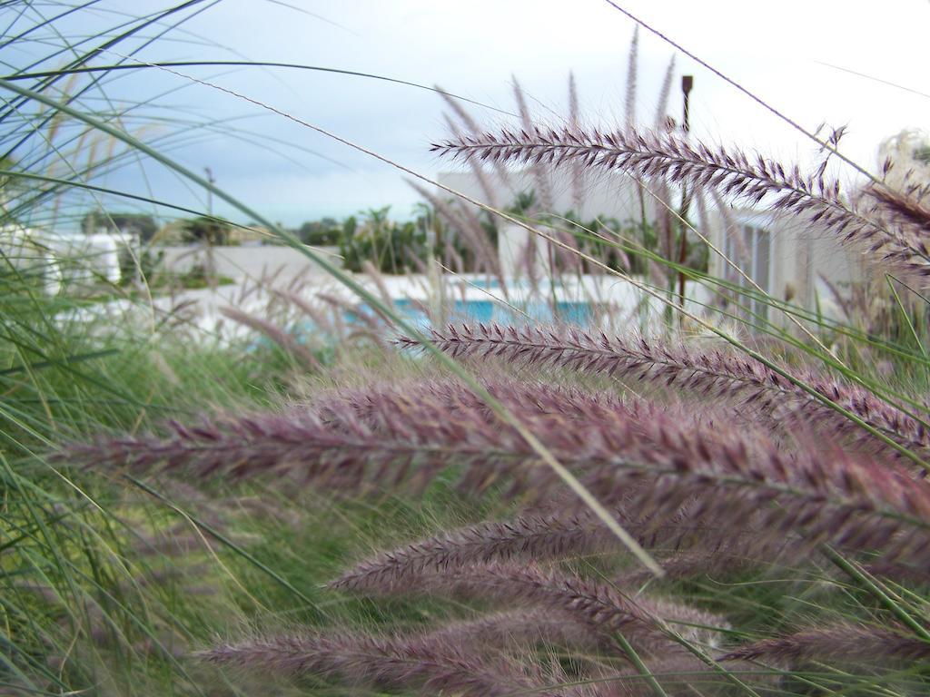 La Scibina Aparthotel Marina di Ragusa Exterior photo